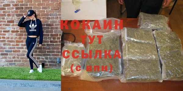 apvp Верея